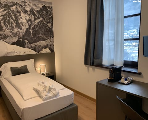 Single room | Egyptian cotton sheets, premium bedding, down comforters, pillowtop beds