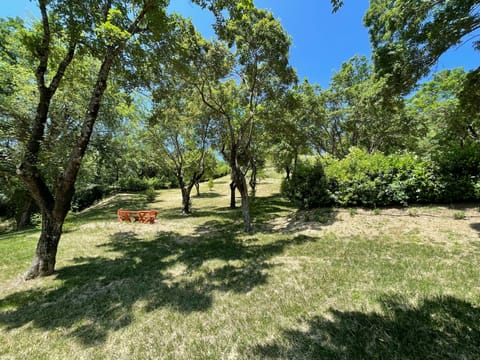 Loft, 2 Bedrooms, Smoking, Patio | Property grounds