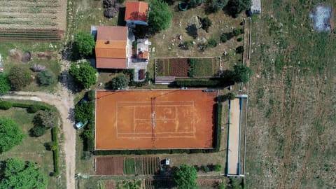 Sport court