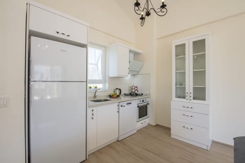 Full-size fridge, oven, stovetop, dishwasher