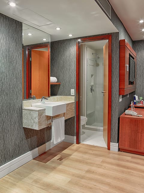 Suite Executive Premium | Bathroom | Shower, free toiletries, hair dryer, towels