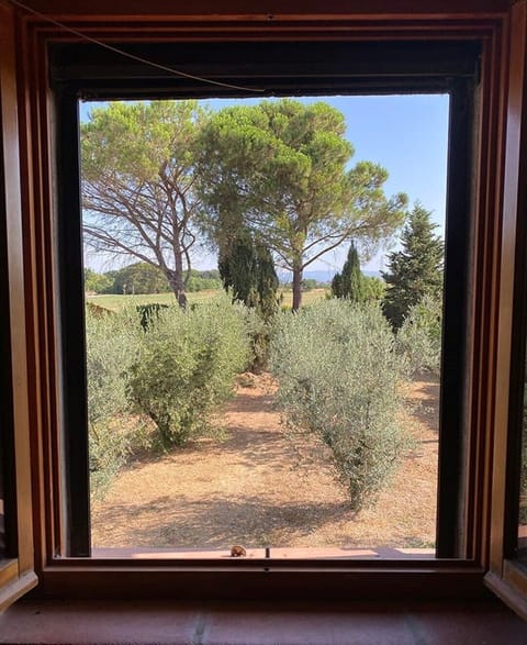 View from second bedroom