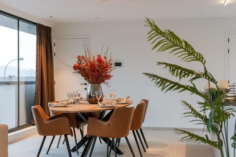 Light-filled dining area