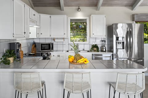 Main house Kitchen Counter