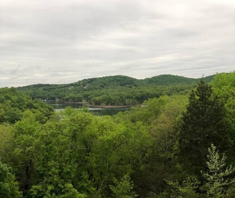 Nothing beats a day by the water, surrounded by trees and clear skies.