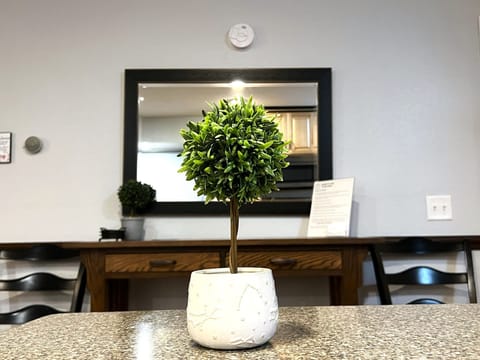 Our table with a flower vase is perfectly poised in front of the mirror, doubling the charm and adding a touch of floral flair to your space. It's like having your own personal garden indoors!