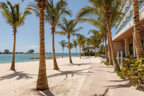 On the beach, white sand