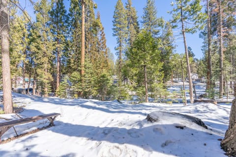 Cabin, Multiple Beds, Fireplace, Mountain View (Rustic Knotty Pine) | View from room