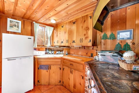 Cabin, Multiple Beds, Fireplace, Mountain View (Rustic Knotty Pine) | Private kitchen | Fridge, microwave, oven, stovetop