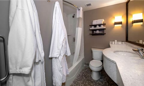 Combined shower/tub, free toiletries, hair dryer, towels