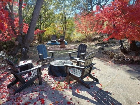 Fire Pit / Melt Your Marshmallow