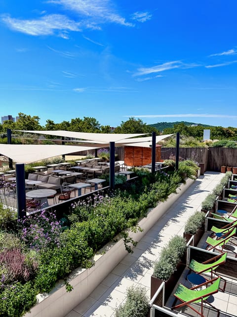 Seasonal outdoor pool, pool umbrellas, sun loungers