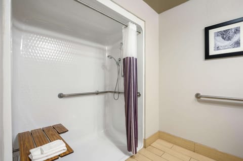 Combined shower/tub, free toiletries, hair dryer, towels