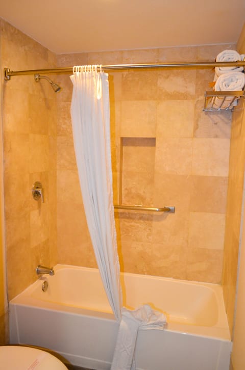 Combined shower/tub, free toiletries, hair dryer, towels