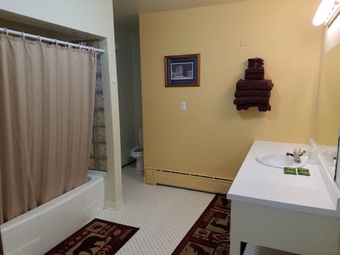 Family Suite, Accessible | Bathroom | Shower, free toiletries, towels