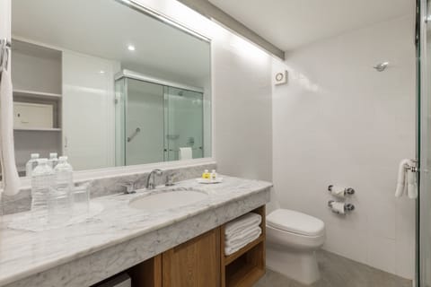 Superior Room (Terrace) | Bathroom | Shower, hair dryer, towels