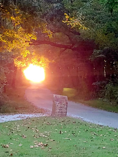 Light at the end of the tunnel on Morgan road
