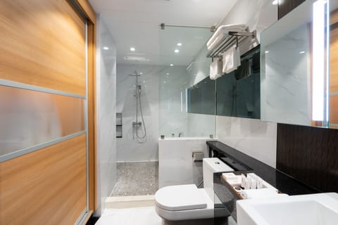 Deluxe Room | Bathroom | Free toiletries, hair dryer, bathrobes, slippers