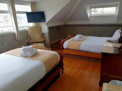 Family Double or Twin Room | Desk, iron/ironing board, free WiFi, bed sheets
