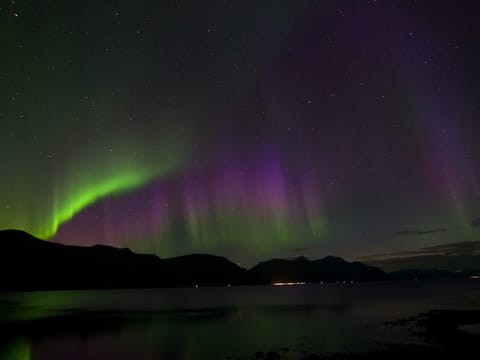 House | Miscellaneous