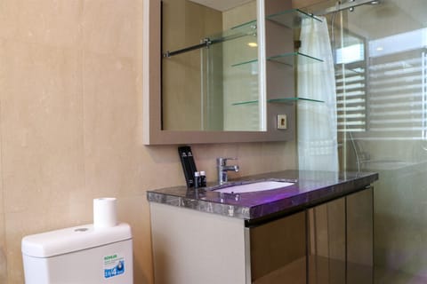 Apartment | Bathroom | Shower