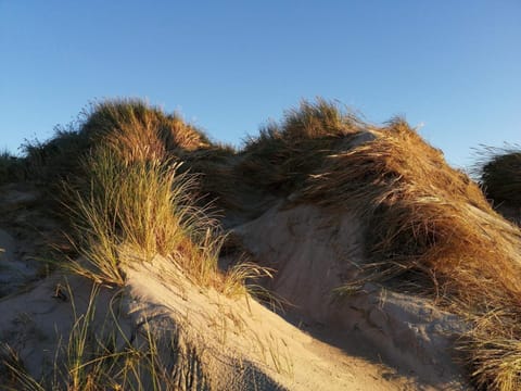 House | Miscellaneous