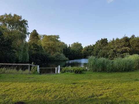 House | Miscellaneous