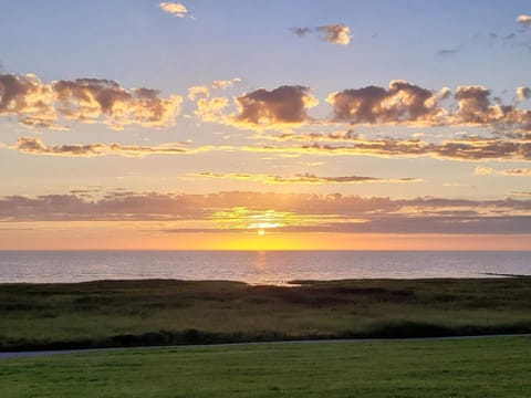 House | Miscellaneous