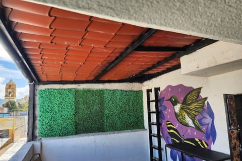 Shared Dormitory | Terrace/patio