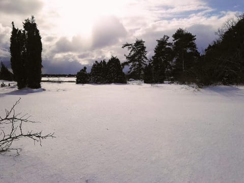 House | Miscellaneous