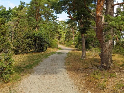 House | Miscellaneous