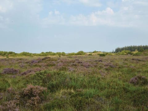 House | Miscellaneous