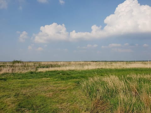 House | Miscellaneous