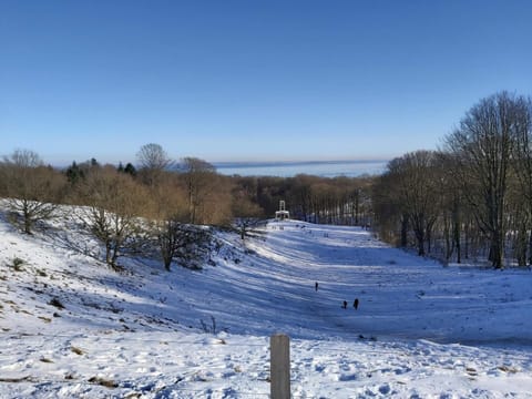 House | Miscellaneous