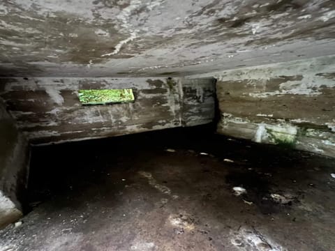 House | Miscellaneous