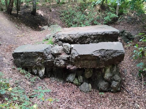 House | Property grounds