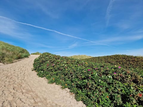 House | Miscellaneous