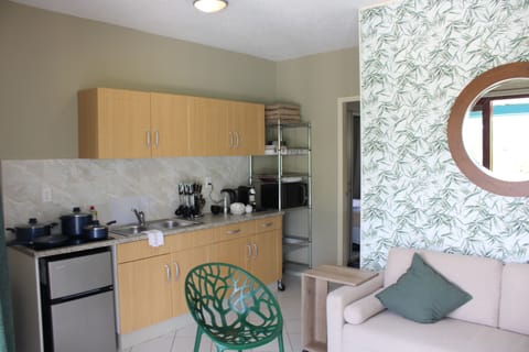 Signature Apartment | Private kitchen | Fridge, microwave, stovetop, coffee/tea maker