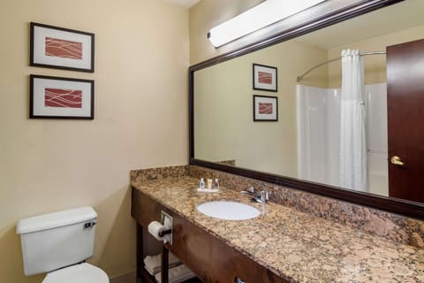 Suite, 1 King Bed with Sofa bed | Bathroom | Bathtub, free toiletries, hair dryer, towels