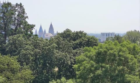 Comfort Room, 1 Queen Bed, City View (Larger Room) | Hypo-allergenic bedding, down comforters, desk, iron/ironing board