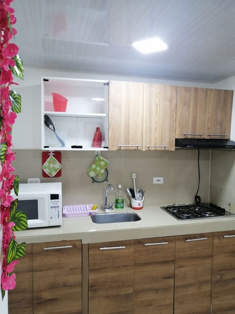 Family Apartment | Private kitchen | Mini-fridge, stovetop, cookware/dishes/utensils, freezer