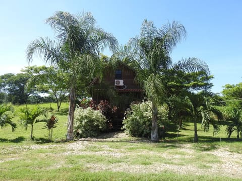 Cabin, 1 Bedroom, Patio, View | Exterior