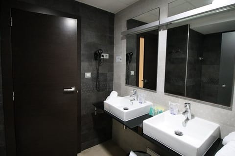 Shower, hydromassage showerhead, eco-friendly toiletries, hair dryer