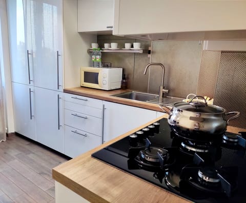 Family Apartment, Kitchen | Private kitchen | Full-size fridge, oven, stovetop, electric kettle