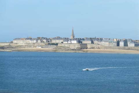 Region [summer] (&gt;5 km)