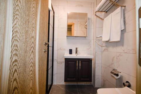 Junior Suite | Bathroom | Shower, rainfall showerhead, free toiletries, hair dryer