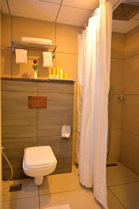 Premium Double Room | Bathroom | Towels, soap, shampoo, toilet paper