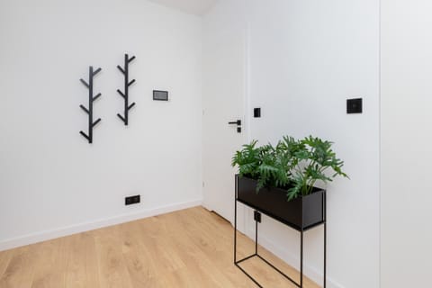 A hallway with a plants.