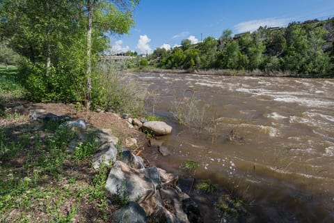 Animas River