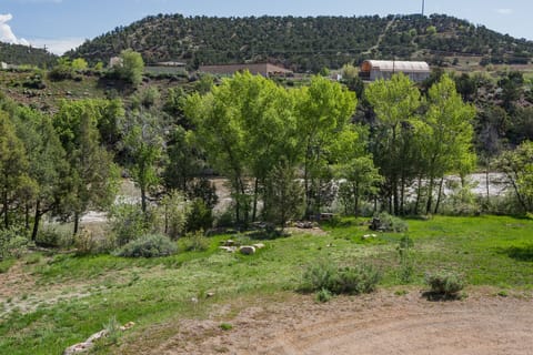 View of the Animas River from the deck (2 Bedroom cabin)
